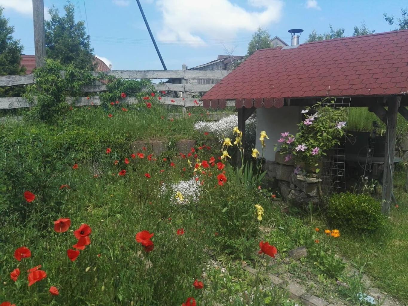 Gaestehaus Zum Gesundheitszentrum Matz Sulzdorf an der Lederhecke Zewnętrze zdjęcie
